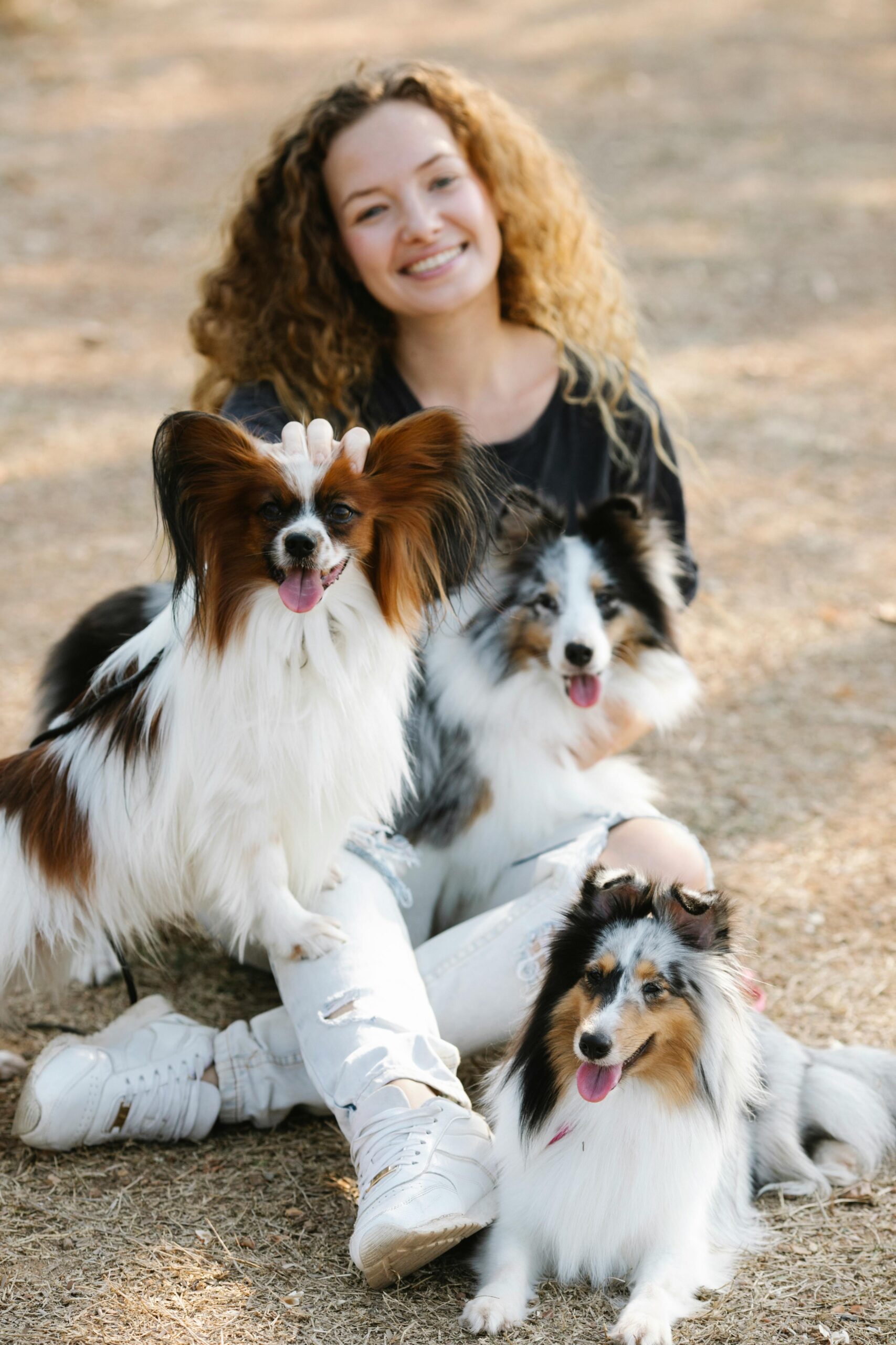 Young woman sitting with three happy Papillon dogs outdoors.