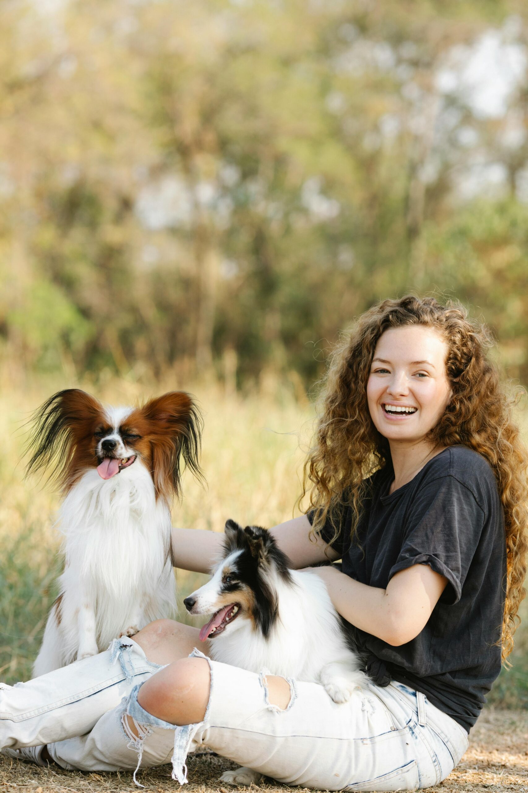 Side view of positive female owner sitting on ground with Continental Toy Spaniel and Shetland Sheepdog in meadow